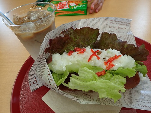 三宅島 ドルフィンスイム