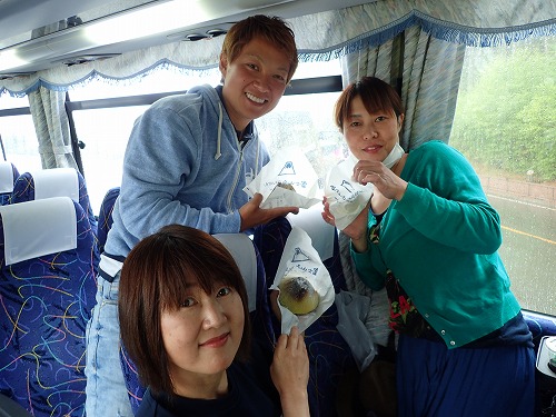 三宅島 ドルフィンスイム