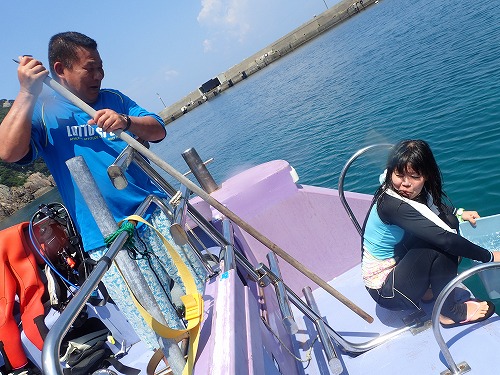 鵜来島 ダイビング
