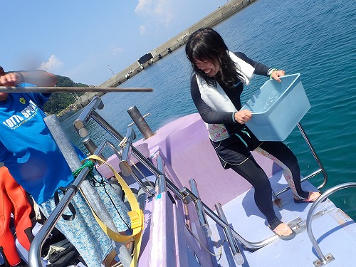鵜来島 ダイビング