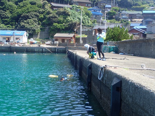 鵜来島 ダイビング
