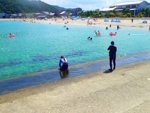 竹野 ダイビング