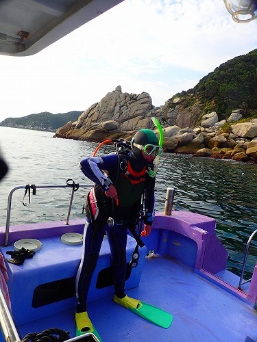 鵜来島 ダイビング
