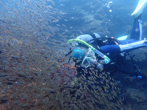 沖ノ島 ダイビング