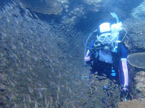 沖ノ島 ダイビング