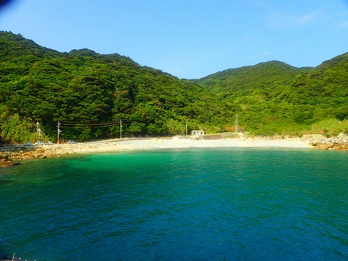 沖ノ島 ダイビング