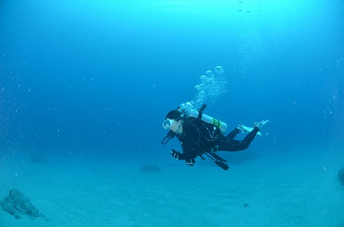 西表島 ダイビング