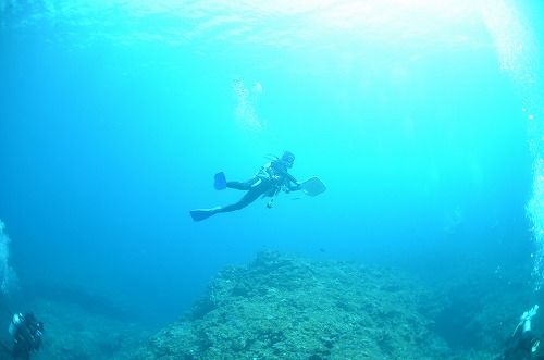 西表島 ダイビング