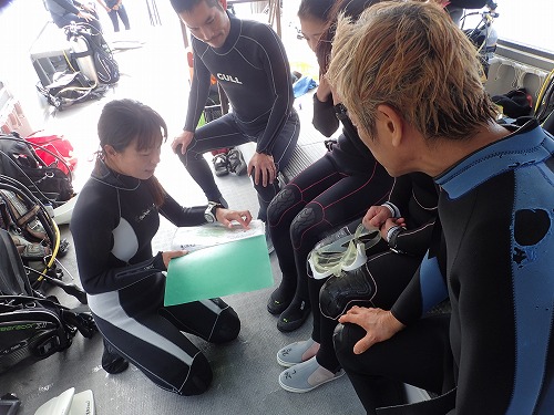 西表島 ダイビング