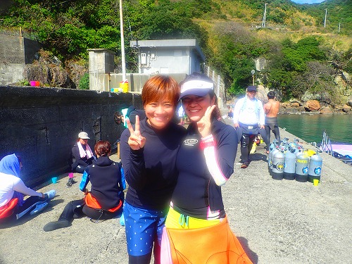 鵜来島 ダイビング