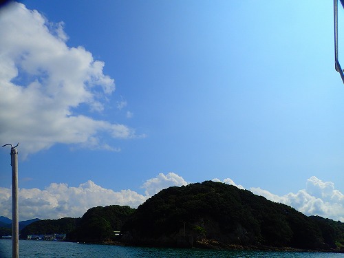 鵜来島 ダイビング