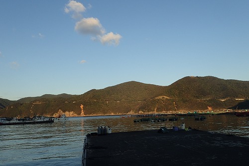 柏島 ダイビング