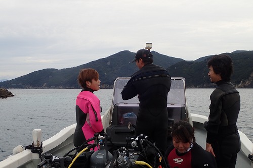 柏島 ダイビング
