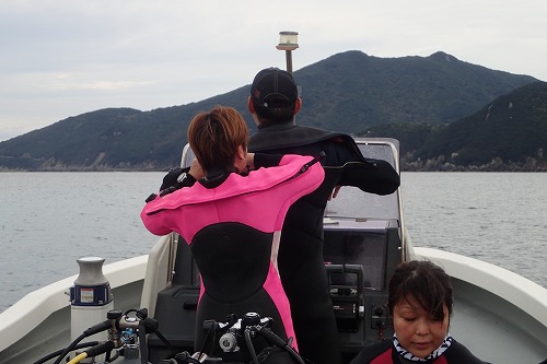 柏島 ダイビング