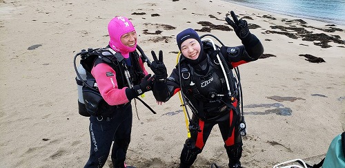 竹野 ダイビング