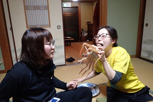 竹野 ダイビング