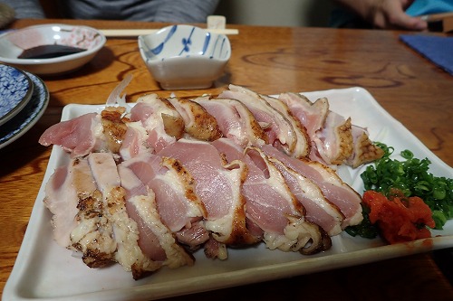 延岡 ダイビング