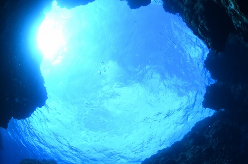 久米島 ダイビング