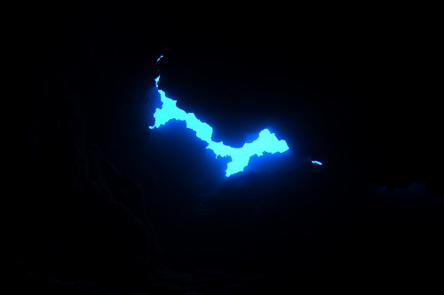久米島 ダイビング