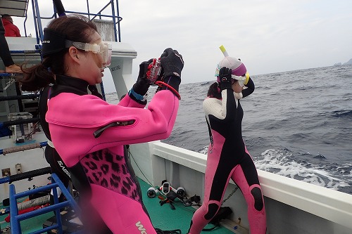 加計呂麻 クジラスイム