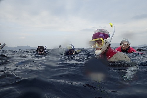 加計呂麻 クジラスイム