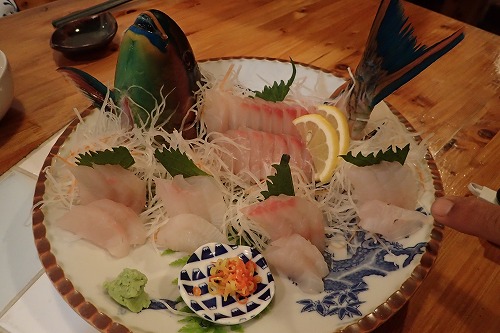 加計呂麻 クジラスイム