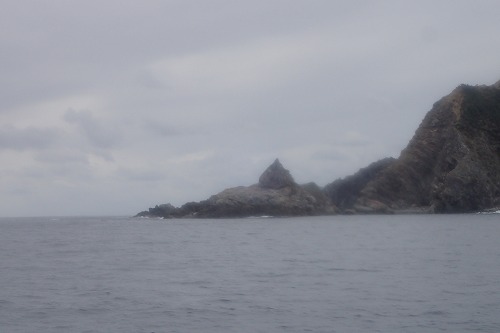 加計呂麻 クジラスイム