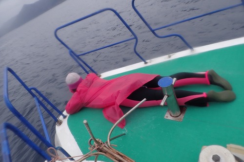 加計呂麻 クジラスイム