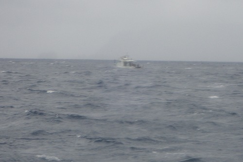 加計呂麻 クジラスイム