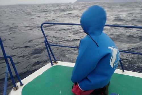 加計呂麻 クジラスイム