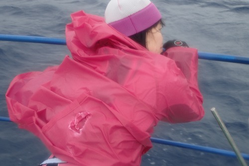 加計呂麻 クジラスイム