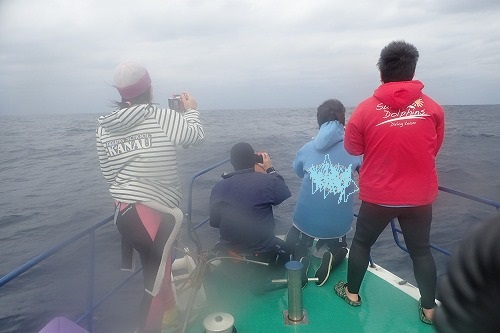 加計呂麻 クジラスイム