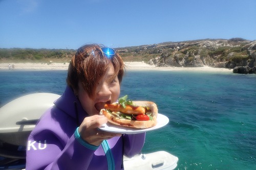 カーナック島 アシカスイム