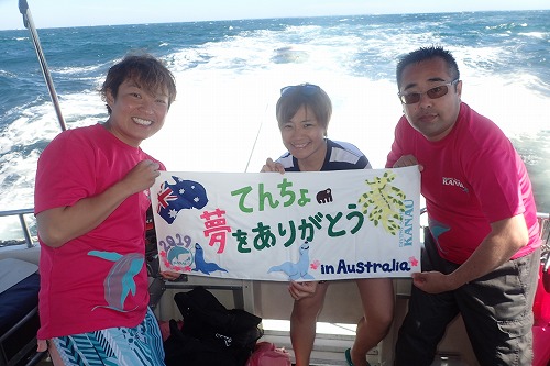 カーナック島 アシカスイム
