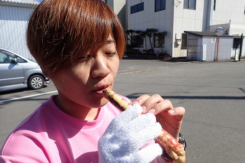 日和佐 ダイビング