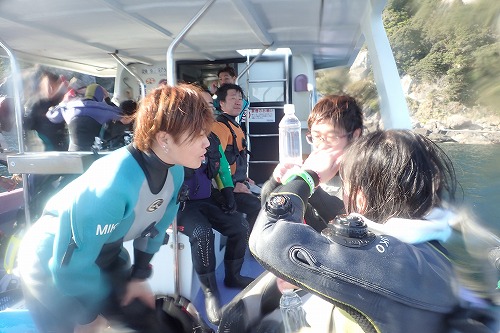 鵜来島 ダイビング