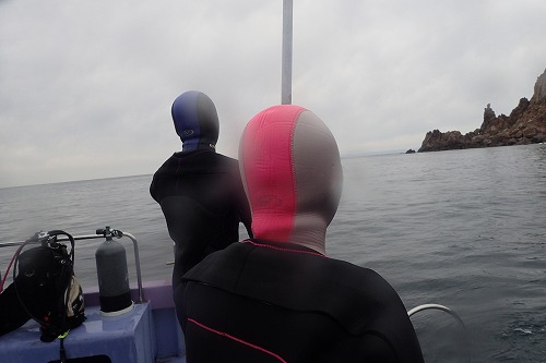 鵜来島 ダイビング
