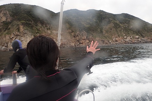 鵜来島 ダイビング