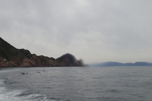 鵜来島 ダイビング