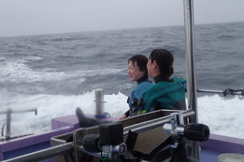 鵜来島 ダイビング