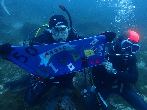 鵜来島 ダイビング