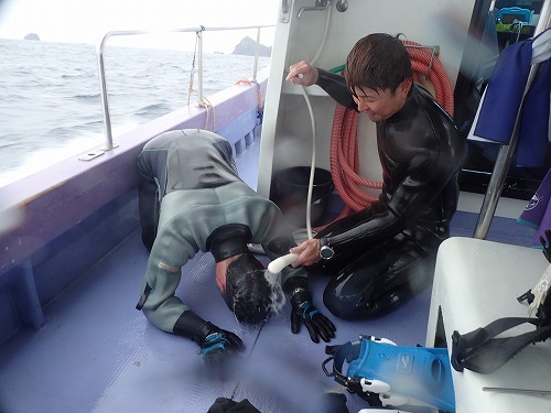 鵜来島 ダイビング