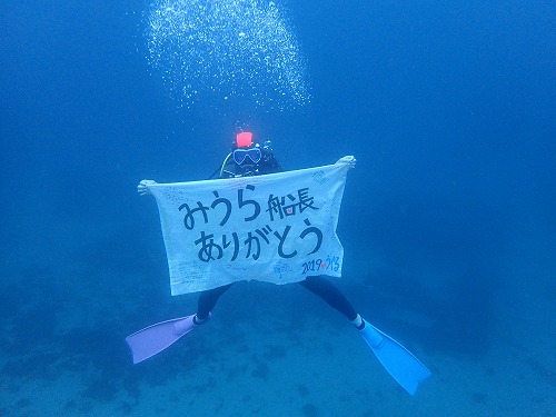 鵜来島 ダイビング