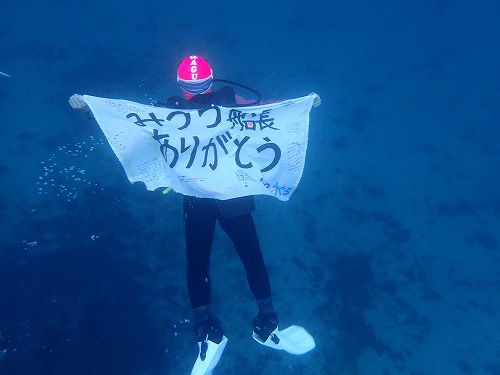 鵜来島 ダイビング