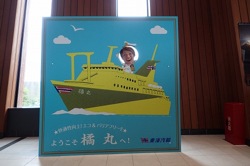 三宅島 ドルフィンスイム