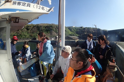 三宅島 ドルフィンスイム