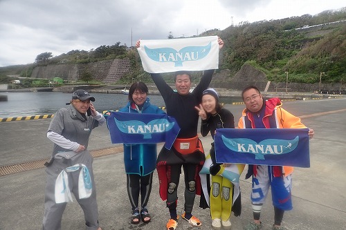 三宅島 ドルフィンスイム