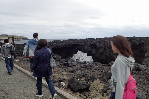 三宅島 ドルフィンスイム