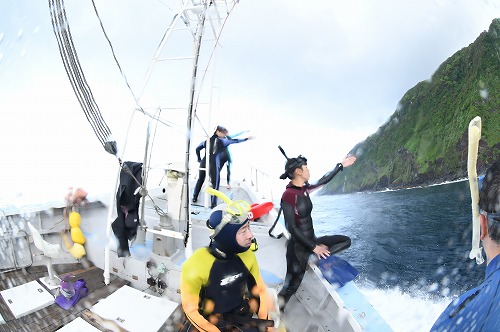 三宅島 ドルィンスイム
