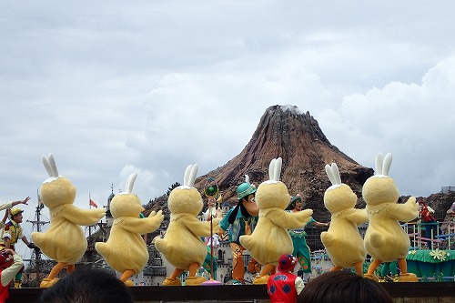 三宅島 ドルフィンスイム